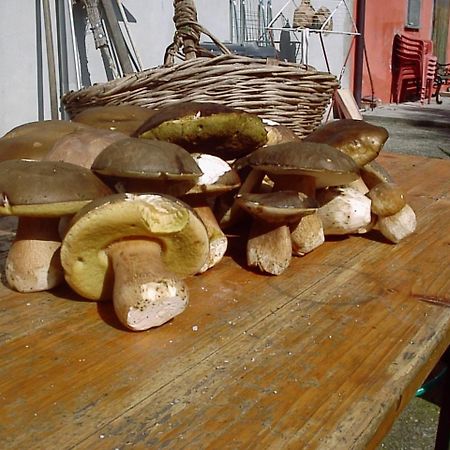 Willa Agriturismo Ca Rossano Licciana Nardi Zewnętrze zdjęcie
