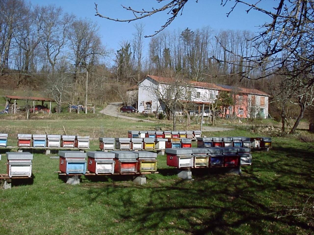 Willa Agriturismo Ca Rossano Licciana Nardi Zewnętrze zdjęcie